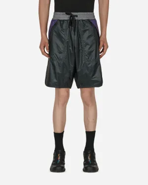 Day-Namic Shorts Mehrfarbig