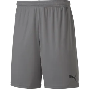 Herren TeamGoal 23 Strick-Shorts
