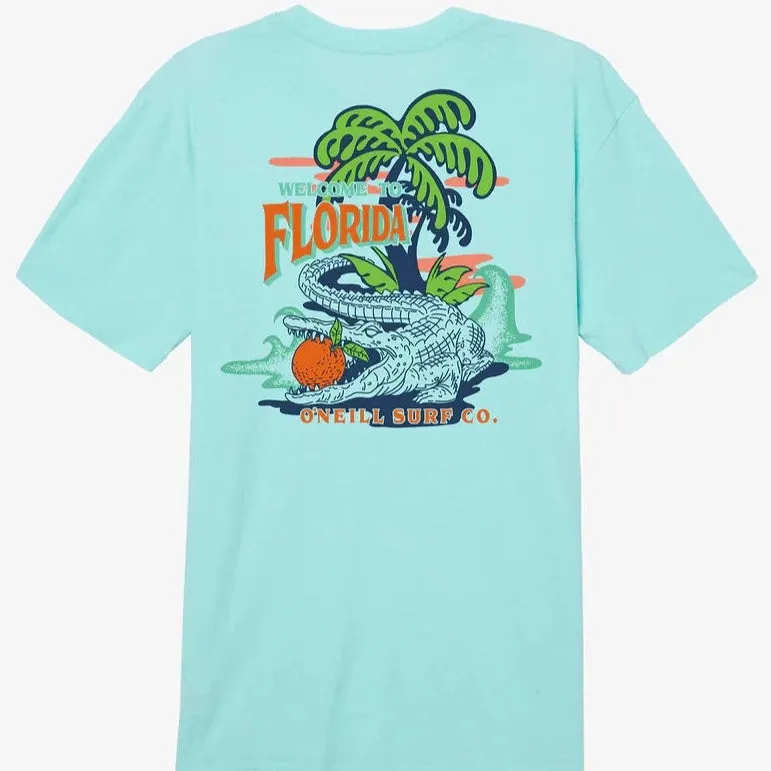O'Neill Citrus State Florida Herren T-Shirt - Türkis