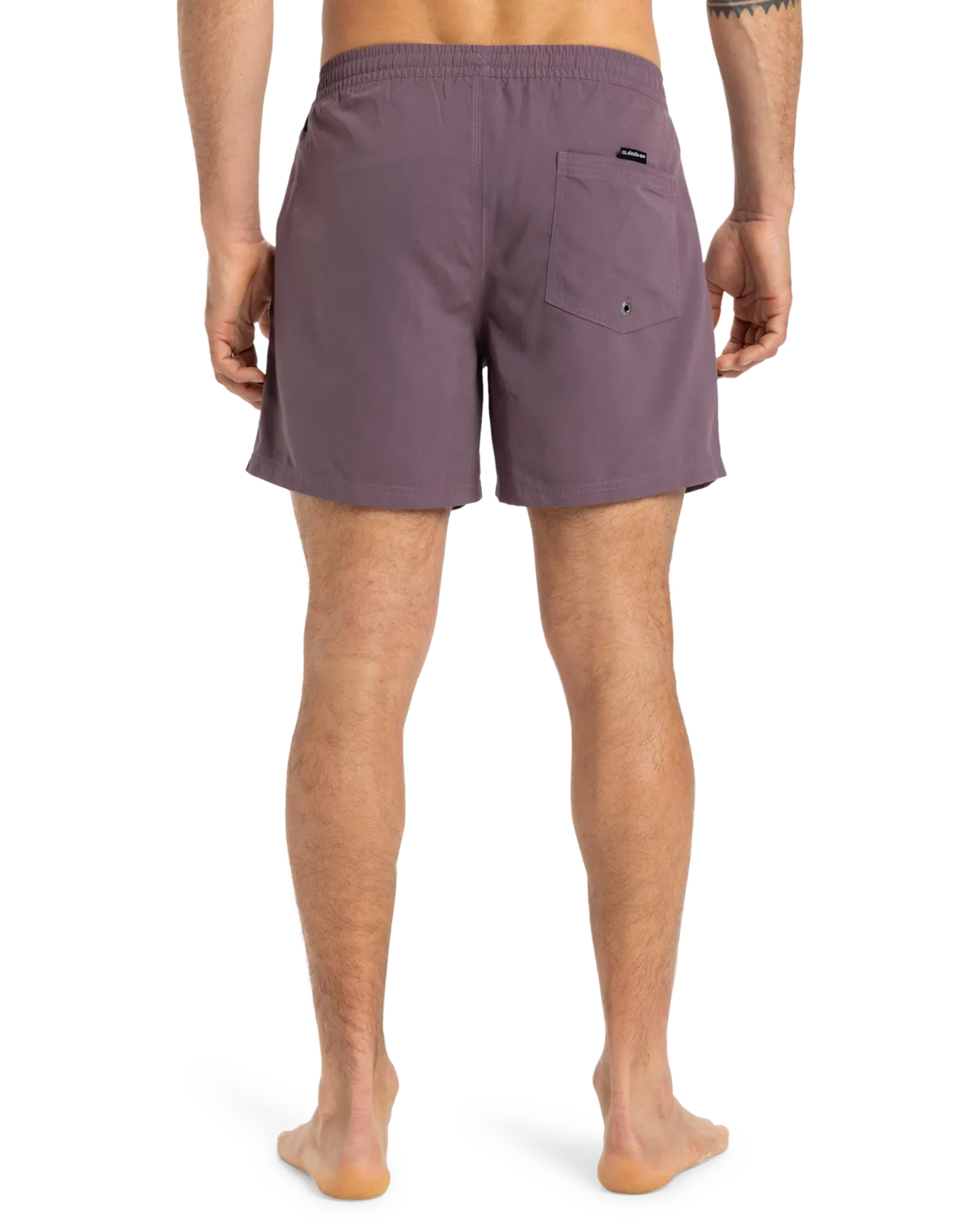 Quiksilver Kleidung Everyday Volley Shorts in Vintage Violett