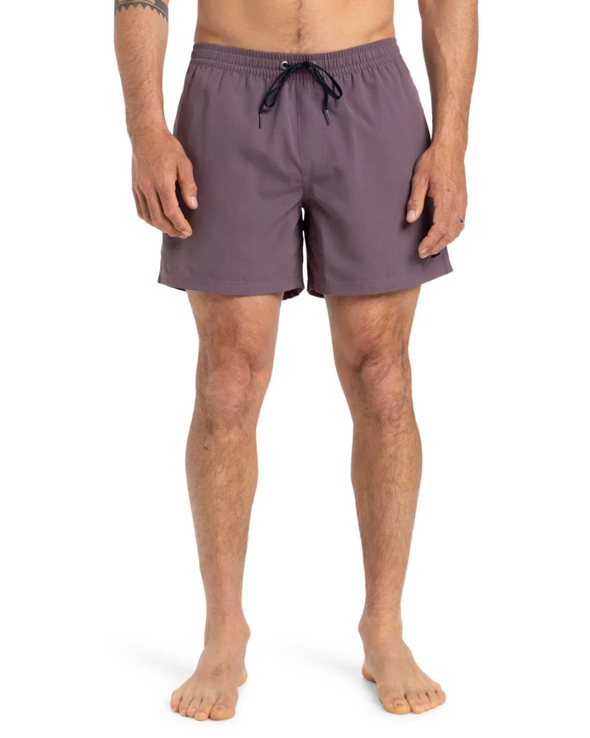 Quiksilver Kleidung Everyday Volley Shorts in Vintage Violett