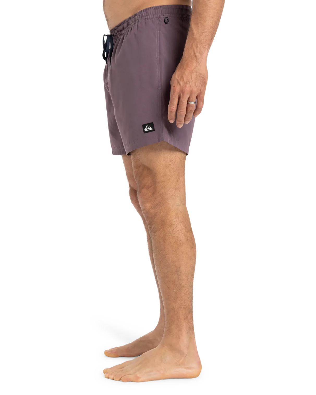Quiksilver Kleidung Everyday Volley Shorts in Vintage Violett
